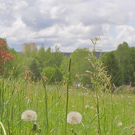 Apartment 475 Hohegeiß Екстериор снимка