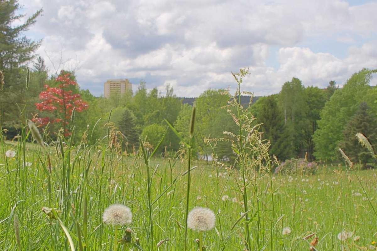 Apartment 475 Hohegeiß Екстериор снимка